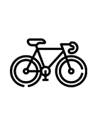 Ruta